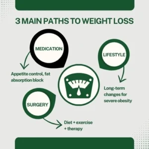 1st Body Image (22) Flowchart showing the three main categories: Medication, Lifestyle Programmes, Surgery.