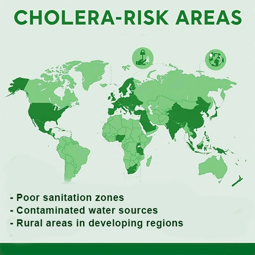 b1 body - Copy World map highlighting cholera-prone regions (Africa, South Asia, Caribbean).